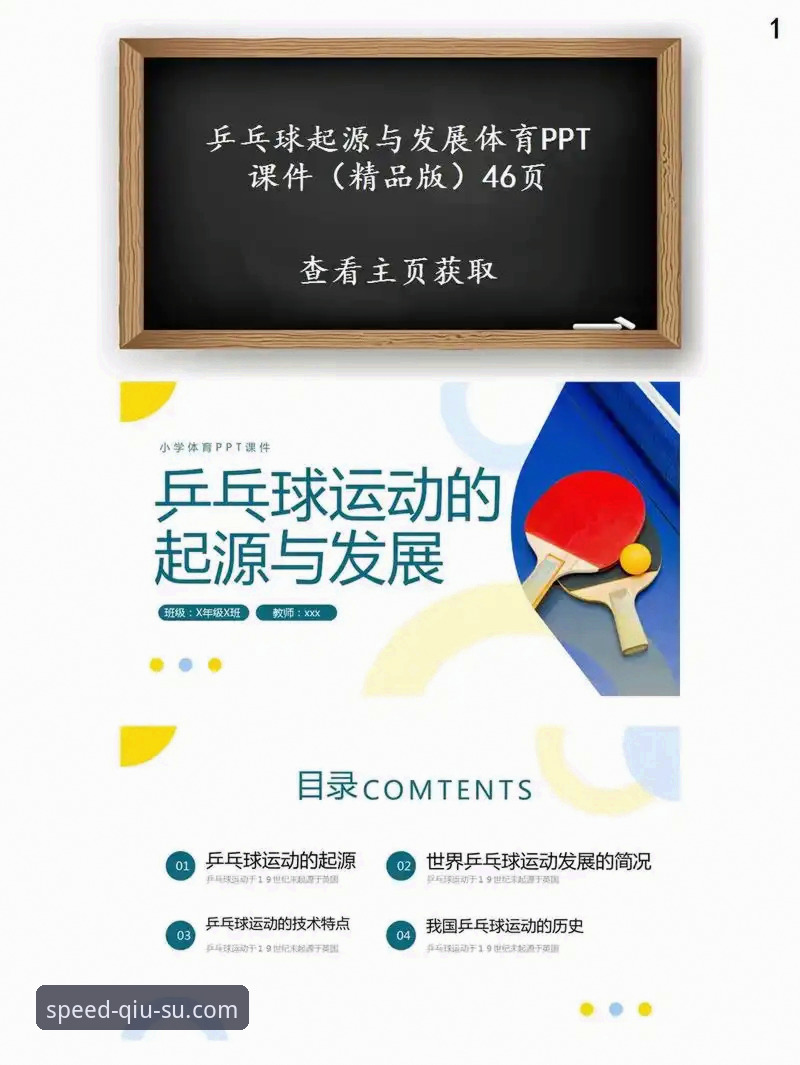 球速体育怎么下载 球速体育官网全面评测:下载流程、安装体验与数据验证分析